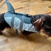 Giubotto di salvataggio per cani piccoli