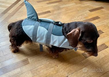 Giubotto di salvataggio per cani piccoli