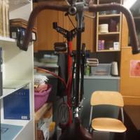 bicicletta professionale 