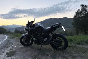 Kawasaki Z60 2023