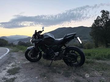 Kawasaki Z60 2023