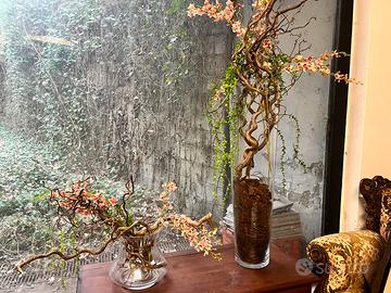 Vasi per interni ed esterni