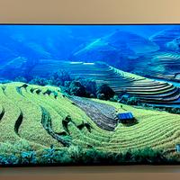 Tv Sony Bravia OLED XR55A90J.