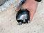 Immagine 20