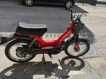 CALIFFONE 50cc