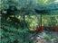 Immagine 6