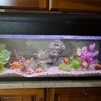 Aquario 120 litri