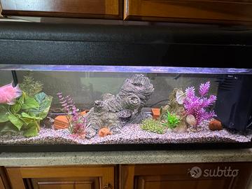 Aquario 120 litri