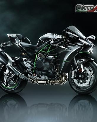 Kawasaki Ninja H2 CARBON