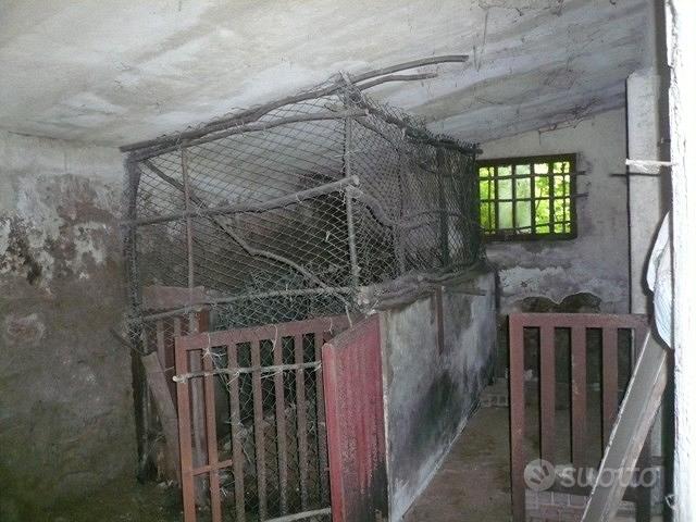 Terreno agricolo - Vista 4