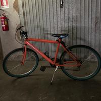 Mountain Bike “Sun Cross”