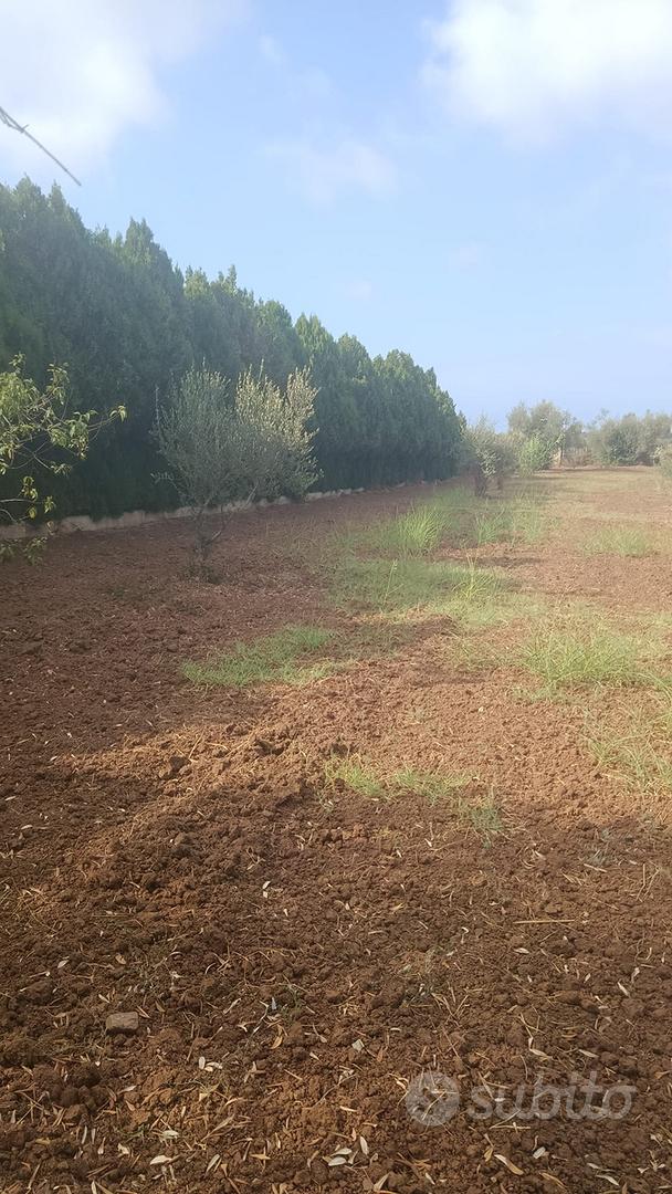 Terreno agricolo - Vista 3