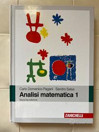 Analisi Matematica 1 pagani salsa