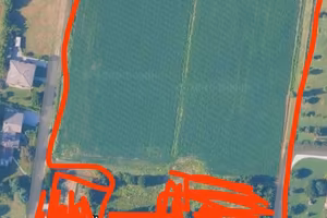 Terreno agricolo 2 ettari
