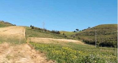 RGE 78/2017 Trib ENNA - LOTTO 8