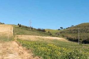 RGE 78/2017 Trib ENNA - LOTTO 8