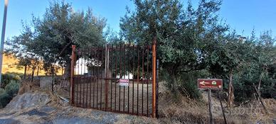 Terreno agricolo