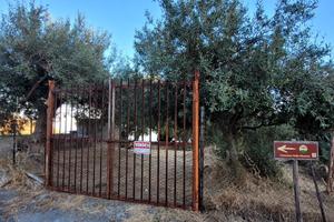 Terreno agricolo