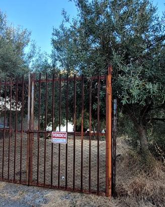 Terreno agricolo