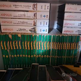 "Giovani Marmotte" (32 numeri)