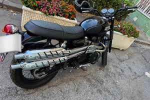 Triumph scrambler 900