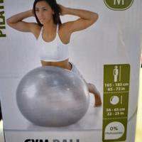 fit ball