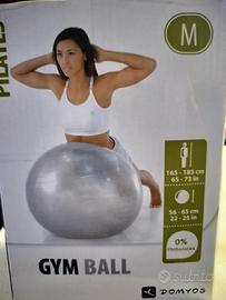 fit ball