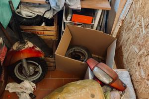 Pezzi piaggio /  zip fast rider