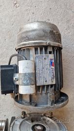 Motore elettrico + riduttore