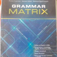 Grammatica inglese "Grammar Matrix"
