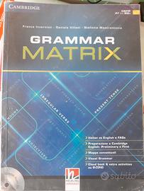 Grammatica inglese "Grammar Matrix"