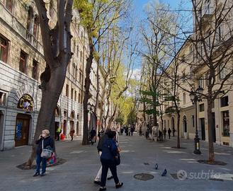 Quadrilocale viale con box auto