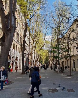 Quadrilocale viale con box auto