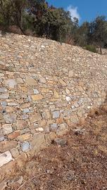 Muri in pietra