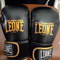 Guantoni boxe