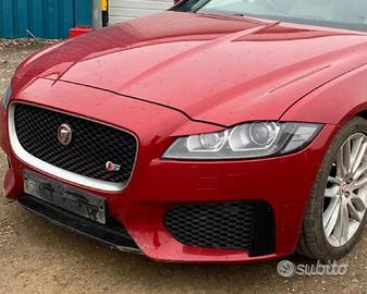 Rivestimento paraurti cofano musata anteriore comp