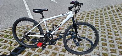 bici 24