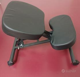 Sedia ergonomica regolabile