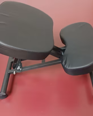 Sedia ergonomica regolabile