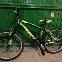 Mountain bike Montana Escape da 24’