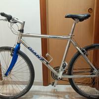 GIANT Mountain Bike