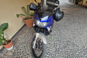 Honda Transalp 650 OTTOBRE 2005