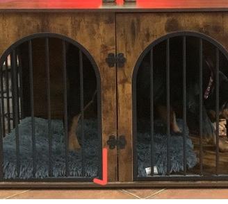Kennel