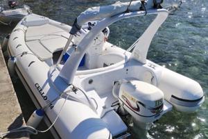 Gommone Scar 590 + Evinrude 115 Hp