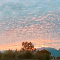 Segretaria coordinatrice