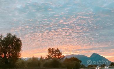 Segretaria coordinatrice