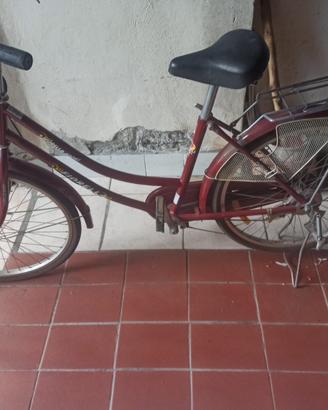 Bicicletta