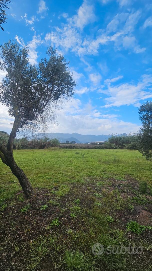 PRIVATO - Terreno Agricolo - San Felice a Circeo - Vista 2