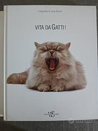Libro fotografico di grandi dimensioni 