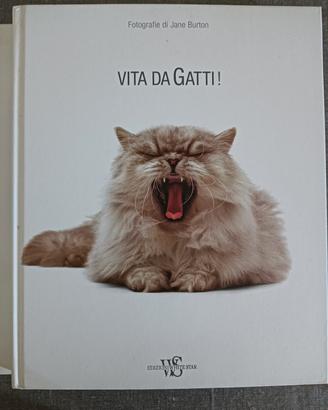 Libro fotografico di grandi dimensioni 
